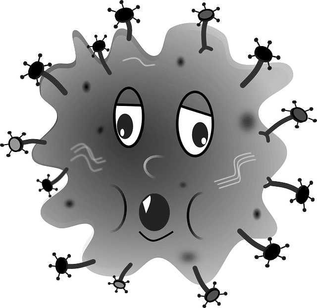 Allergien, Sorgen Sie vor