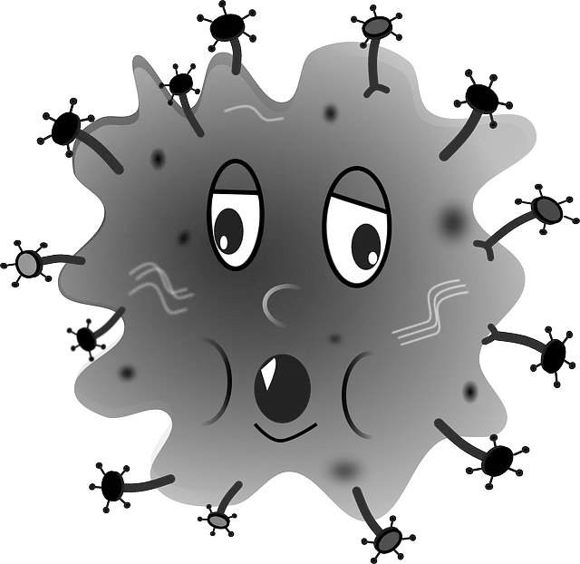 Allergien, Sorgen Sie vor