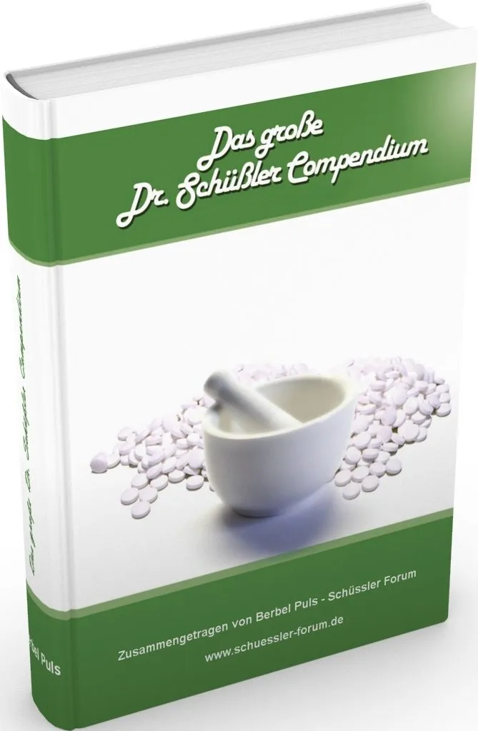 E-Book Compendium, Das umfangreichste Sammelwerk