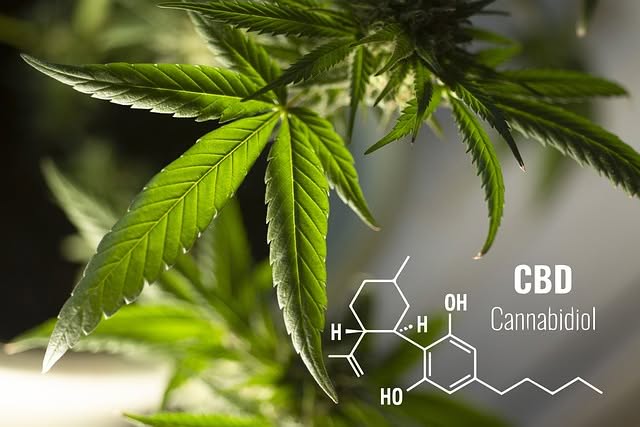 Cannabidiol (Bild @ Pixabay)